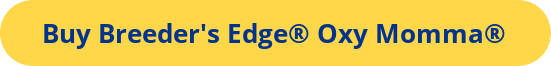 Buy Breeders Edge Oxy Mamma button